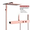 Vòi hoa sen cao cấp KS34 KT700mm